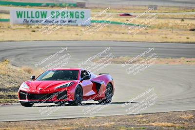 media/Mar-22-2025-West Coast Racing (Sat) [[0d49b412c8]]/Blue Group/Session 1 (Turn 4-Exterior)/